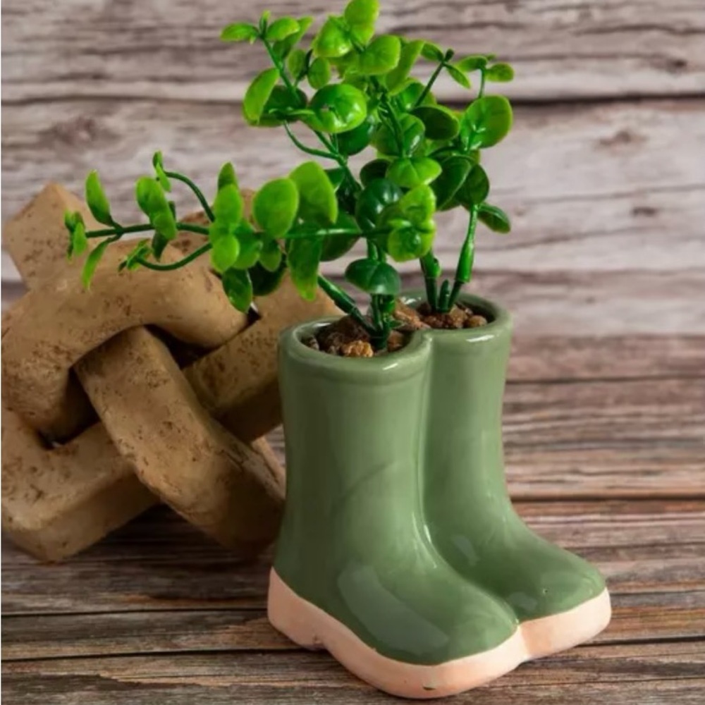 Rain boots Plant